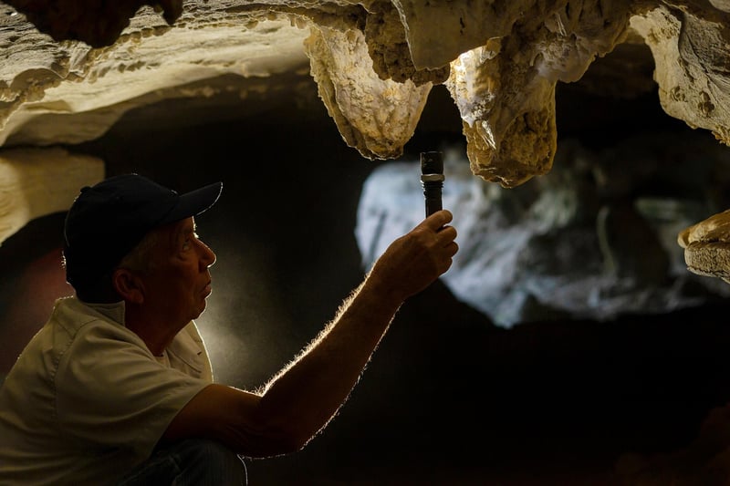 Enchanted Cavern Exploration
